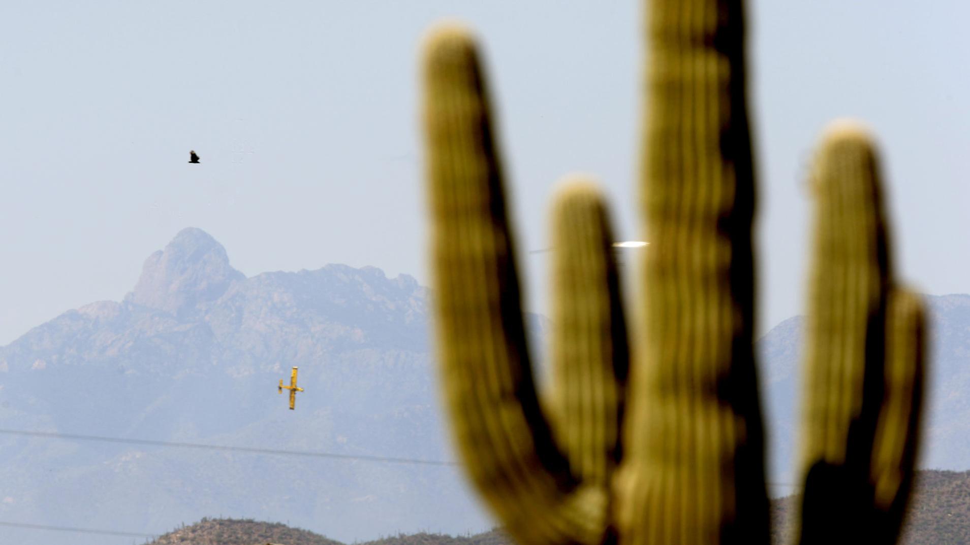 Saguaro National Park ranks 12th on list of most polluted